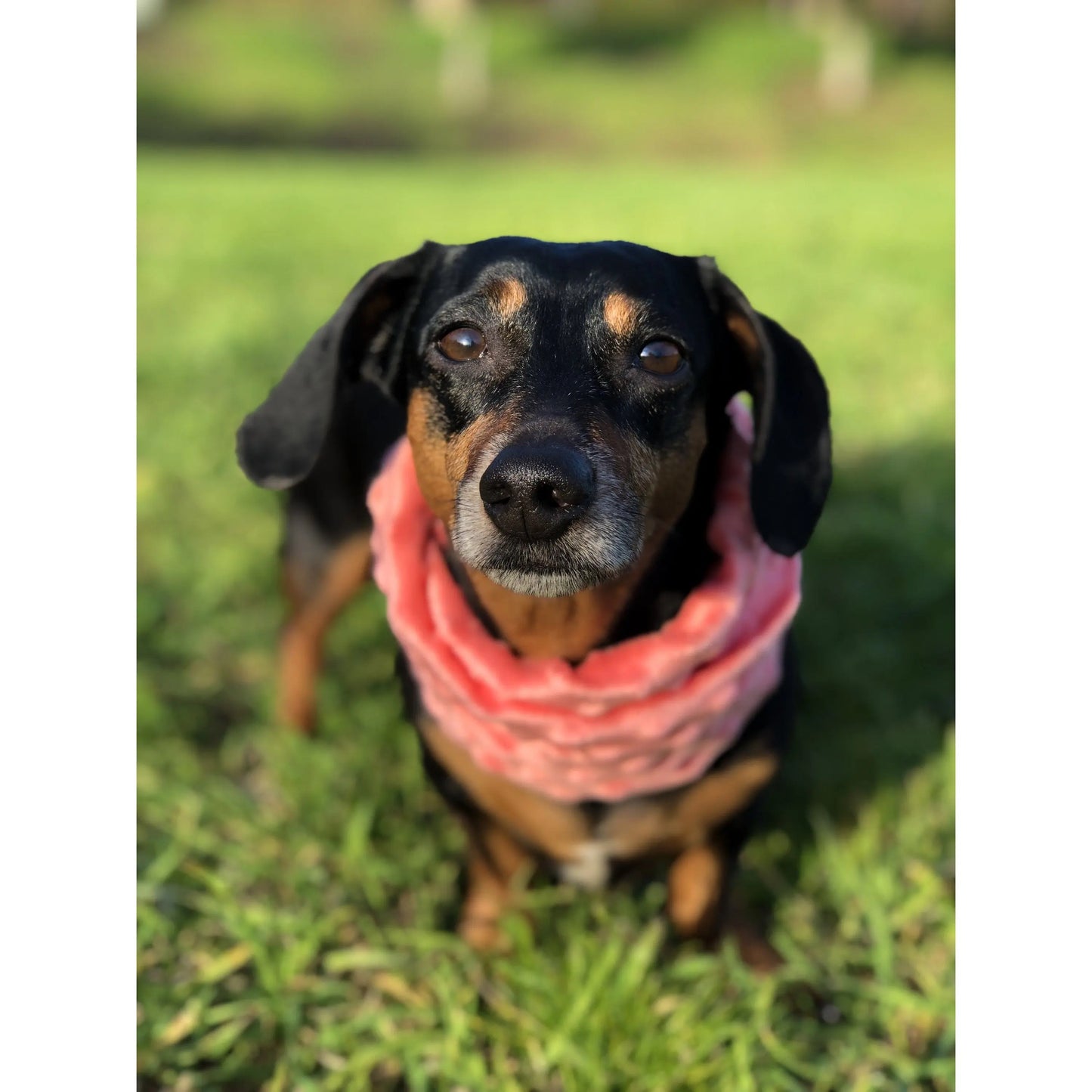 Hubba Hubba Scarf 