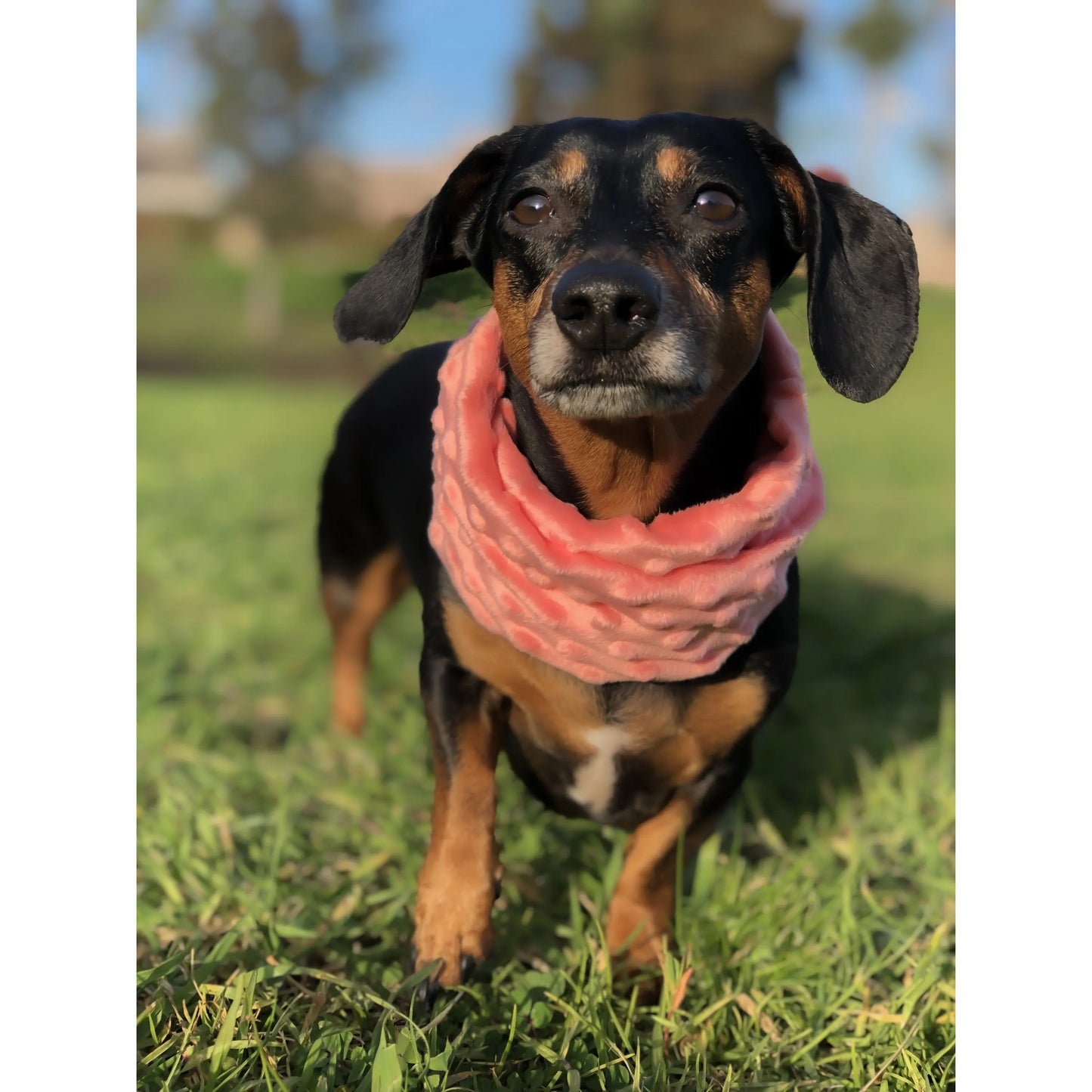 Hubba Hubba Scarf 