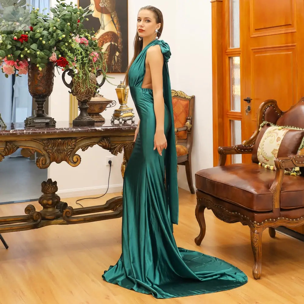 V-neck party dress long dress  V-neck party dress long dress V-neck party dress long dress V-neck party dress long dress Zenzi Style